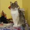 Отзыв от Катя Новикова
